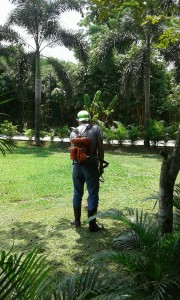 Foto: Elmi